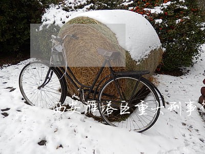 西安雁塔区重大刑事律师哪个好 西安雁塔区重大刑事律师哪个好