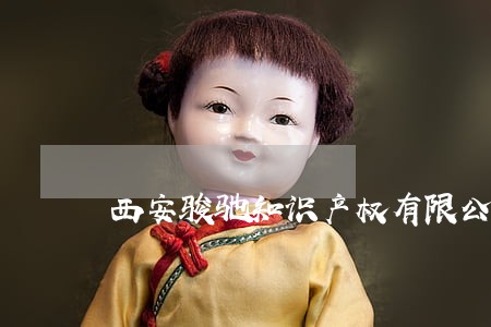 西安骏驰知识产权有限公司