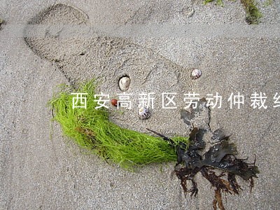 西安高新区劳动仲裁纠纷律师 西安高新区劳动仲裁纠纷律师