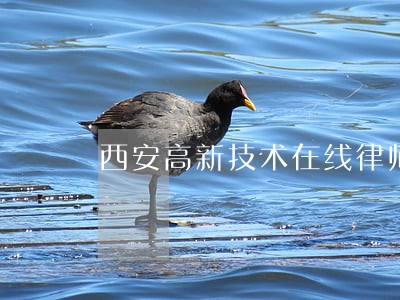 西安高新技术在线律师咨询 西安高新技术在线律师咨询