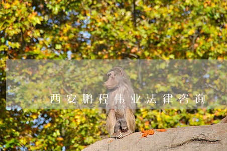 西安鹏程伟业法律咨询 西安鹏程伟业法律咨询
