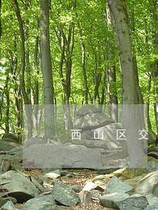 西山区交通案件律师事务所 西山区交通案件律师事务所