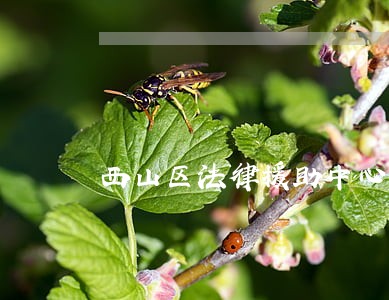 西山区法律援助中心电话 西山区法律援助中心电话