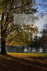 西山区法律顾问咨询 西山区法律顾问咨询