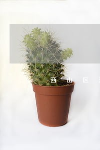 西山区法律顾问排名 西山区法律顾问排名