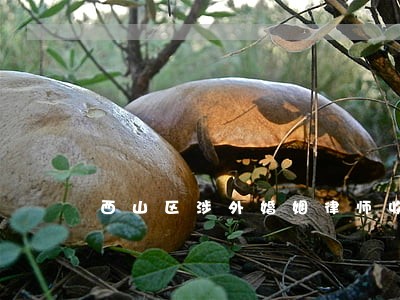 西山区涉外婚姻律师收费标准 西山区涉外婚姻律师收费标准