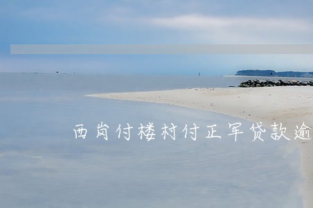 西岗付楼村付正军贷款逾期 西岗付楼村付正军贷款逾期