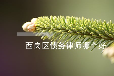 西岗区债务律师哪个好 西岗区债务律师哪个好