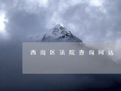 西岗区法院查询网站