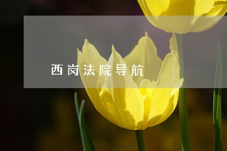西岗法院导航