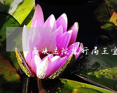 西峡法院执行局王宜昌 西峡法院执行局王宜昌