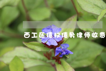 西工区债权债务律师收费 西工区债权债务律师收费