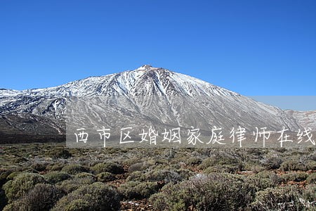 西市区婚姻家庭律师在线免费咨询