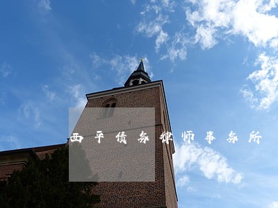 西平债务律师事务所 西平债务律师事务所
