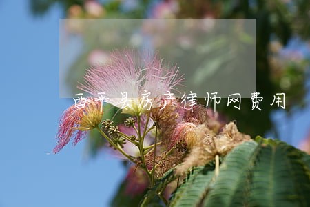 西平县房产律师网费用 西平县房产律师网费用