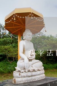 西平法院陈清友 西平法院陈清友
