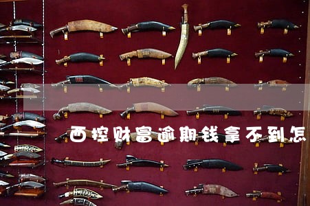 西控财富逾期钱拿不到怎么办 西控财富逾期钱拿不到怎么办
