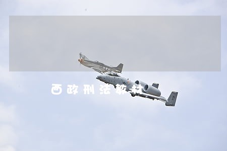 西政刑法教材 西政刑法教材