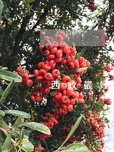 西政最好的是民法吗 西政最好的是民法吗