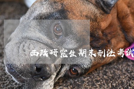 西政研究生期末刑法考试 西政研究生期末刑法考试