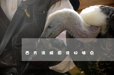 西方法院司法权特点 西方法院司法权特点