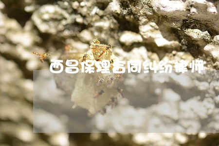 西昌保理合同纠纷律师 西昌保理合同纠纷律师