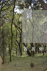 西昌免费法律援助热线 西昌免费法律援助热线