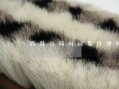 西昌合同纠纷案件律师 西昌合同纠纷案件律师