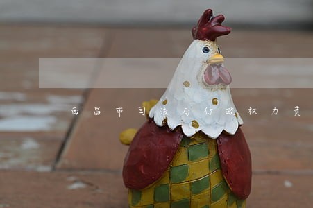 西昌市司法局行政权力责任清单 西昌市司法局行政权力责任清单