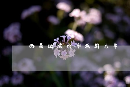 西昌法院公布老赖名单 西昌法院公布老赖名单