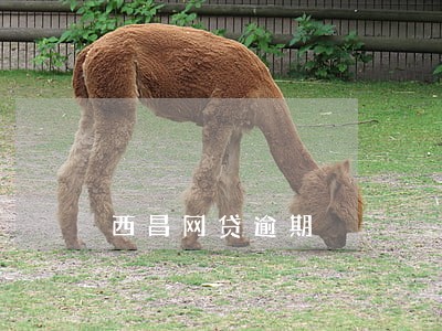 西昌网贷逾期