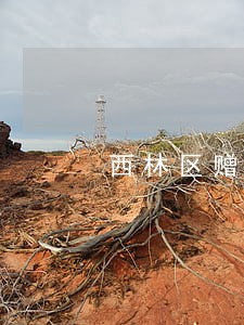 西林区赠与合同纠纷律师 西林区赠与合同纠纷律师