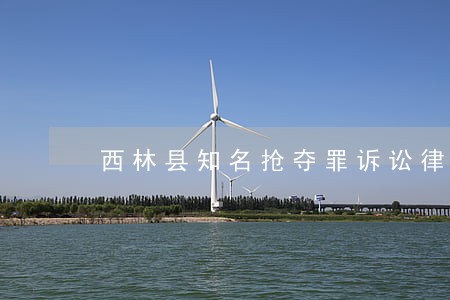 西林县知名抢夺罪诉讼律师 西林县知名抢夺罪诉讼律师