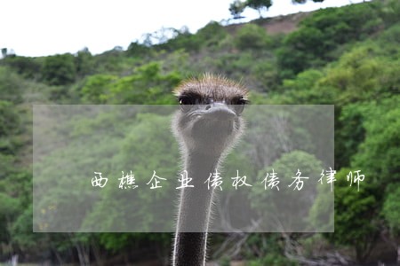 西樵企业债权债务律师 西樵企业债权债务律师
