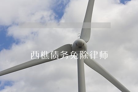 西樵债务免除律师 西樵债务免除律师