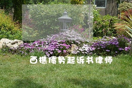西樵债务起诉书律师