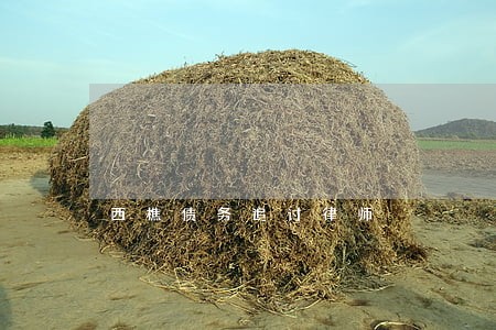西樵债务追讨律师 西樵债务追讨律师