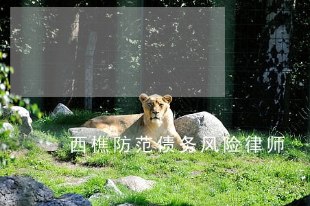 西樵防范债务风险律师 西樵防范债务风险律师