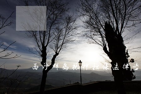 西沙群岛抵押担保法律咨询网 西沙群岛抵押担保法律咨询网