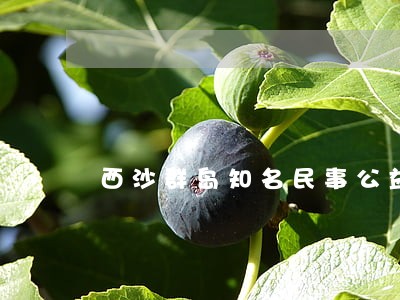西沙群岛知名民事公益诉讼律师 西沙群岛知名民事公益诉讼律师
