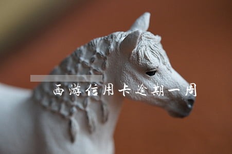 西游信用卡逾期一周 西游信用卡逾期一周
