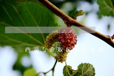 西湖专业取保候审律师 西湖专业取保候审律师