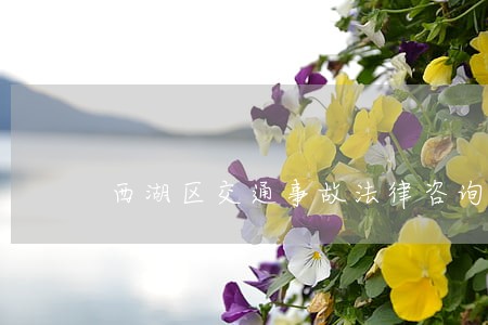 西湖区交通事故法律咨询 西湖区交通事故法律咨询