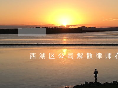 西湖区公司解散律师在线咨询 西湖区公司解散律师在线咨询
