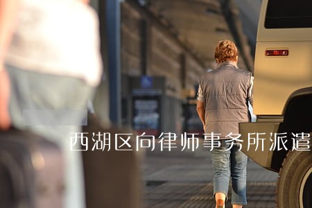 西湖区向律师事务所派遣党建工作