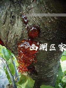 西湖区家族财富管理律师收费标准 西湖区家族财富管理律师收费标准