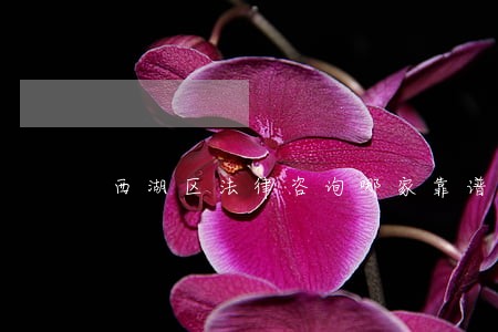 西湖区法律咨询哪家靠谱 西湖区法律咨询哪家靠谱