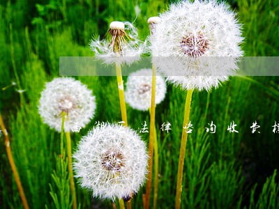 西湖区法律咨询收费标准 西湖区法律咨询收费标准
