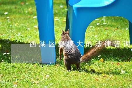 西湖区规模大的法律咨询 西湖区规模大的法律咨询