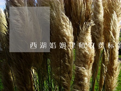 西湖婚姻律师收费标准 西湖婚姻律师收费标准